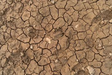 Dry ground rough cracks in the land with sand in paddy rice field. serious water shortages and Drought barren arid pattern texture background.