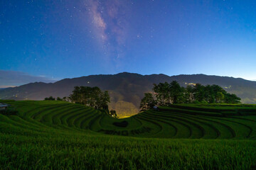 Fresh paddy rice terraces and milky way and stars on space, green agricultural fields in...