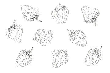 Fototapeta na wymiar Strawberries set. Diet organic products. Different berries in sketch style for coloring book.
