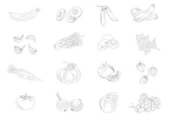 Hand drawn sketch style vegetables set. Cute veggie doodles in vector on white background. Eco fresh products.