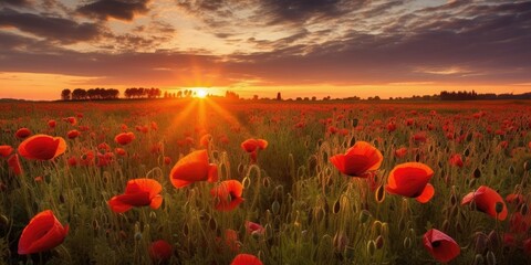 Fototapeta na wymiar Field of Poppies in the Sunset In this enchanting scene Generative AI Digital Illustration Part#110623