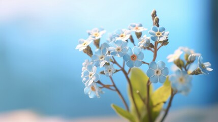 Beautiful forget me not blossoms against a blue sky. Generative AI.