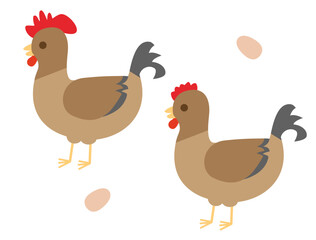 雄鶏と雌鳥の2匹の茶色いニワトリのイラスト