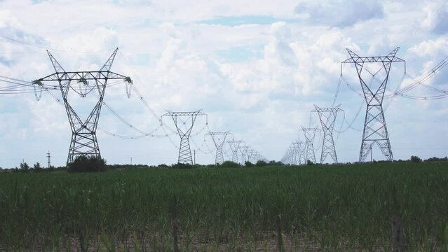 High voltage electricity pylons in corn fields