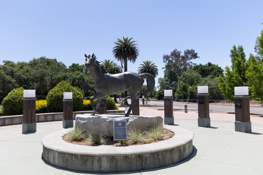 San Luis Obispo, CA - May 19 2023: Mustang Sculpture On The Campus Of California Polytechnic State University 