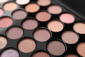 Beautiful eyeshadow palette as background, closeup. Professional cosmetic product