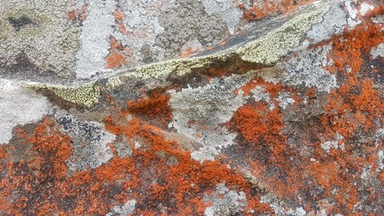 Sandstone rock texture, grey red layered background, Australia