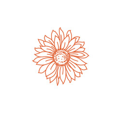 Sunflower. Pinky sunflower. Sun flower for background.