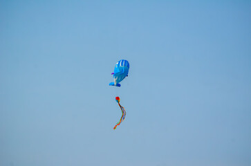 Whale shaped kite flying in the wind, Orange Beach, Alabama