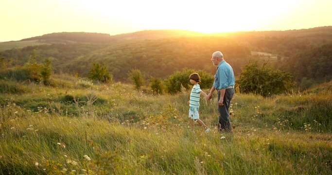 Grandfather and grandson walking at sunset in the field