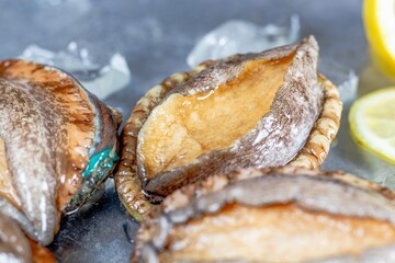 Abalone seafood(Haliotis) with ice cubes and lemon slices on tabletop, kitchen interior,close up