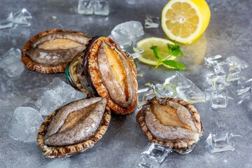 Abalone seafood(Haliotis) with ice cubes and lemon slices on tabletop, kitchen interior,close up