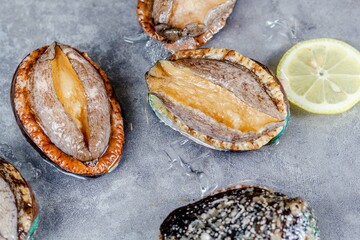 Abalone seafood(Haliotis) with ice cubes and lemon slices on tabletop, kitchen interior,close up