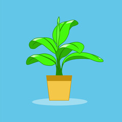 house pot plant vector graphic. Cozy Home Grenery, an element for decorating, Isolated vector graphic.