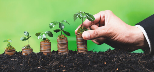 Corporate business invests in environmental subsidies with hand grow seedlings on coin stack for...
