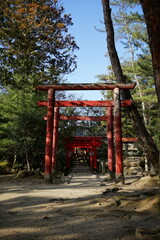 Torii of Shiroyama Inari Jinja or Shrine at Ueno Park in Iga, Mie, Japan - 日本 三重県 伊賀市 上野公園 俳聖殿 城山稲荷神社 鳥居	