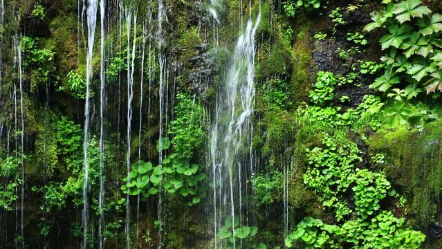 waterfall and green moss on the rocks