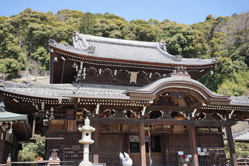 Naklejka premium Mimuroto-ji Temple in Uji, Kyoto, Japan - 日本 京都 宇治 三室戸寺 