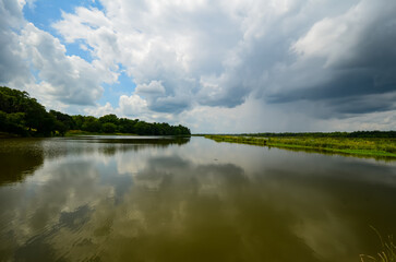 Obraz premium Charleston, South Carolina in May - Reflections of Clouds and Plants in Still Water