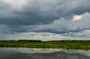 Charleston, South Carolina in May - Reflections of Clouds and Plants in Still Water