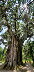 Charleston, South Carolina in May