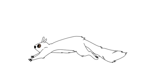 Animation Of A Horse Running (Part 2), On A White Isolated Background. Colorless 2d Hand Drawn Animation