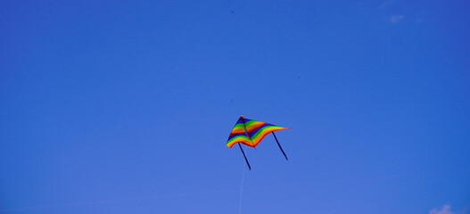 A kite flies in the blue sky