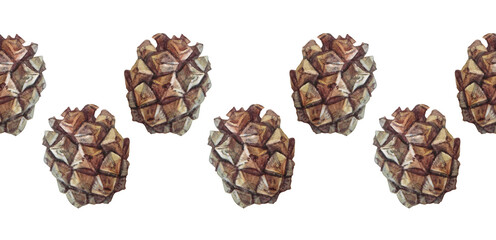 Watercolor seamless rim hand-drawn realistic fir or pine cone on white background. Forest border for christmas celebration or invite. Nature pattern for frame card or textile. Wrapping or sketchbook