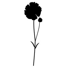 beautiful flower with large petals and leaves in black color or silhouette without background