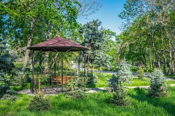 Alleys and gazebo in the Victory park in Odessa, Ukraine.
