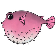 PufferFish03 © Amp