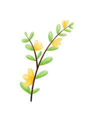 yellow flowers and branch