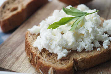fresh paneer on a bread on table 