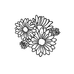 chrysanthemum line - obrazy, fototapety, plakaty