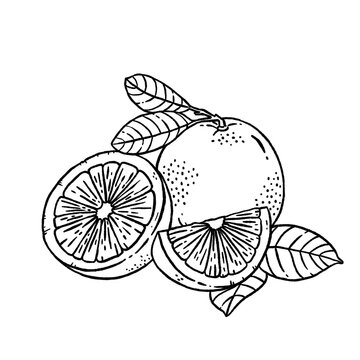 recommend clip art: orange line