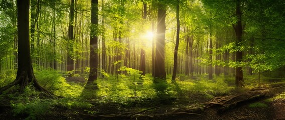 A green forest with the sun shining through the trees. Created with Generative AI technology