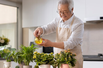 Senior man planting potted plant at home
