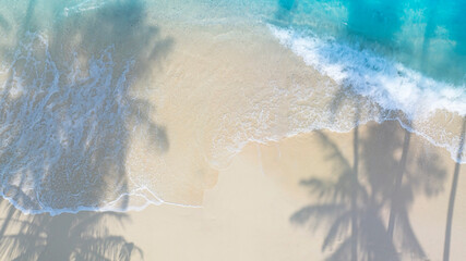 The shadow of summer palm tree  and Tropical beach with blue  of seashore background