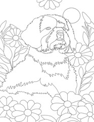Shih Tzu Coloring book with floral Background 