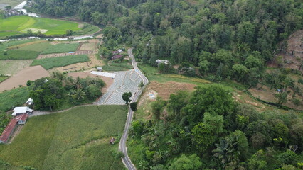 An impressive aerial photo captured using a drone, showing a road in the middle, with rice fields on the left and trees on the right.