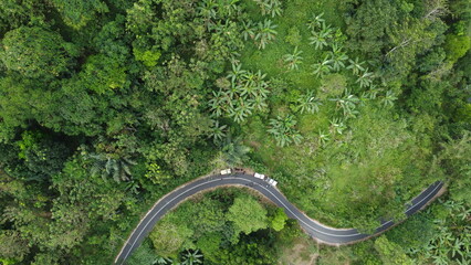 An aerial view captured by a drone of a winding asphalt road surrounded by lush green trees. The beauty of the greenery is highlighted by the winding road, providing a serene and peaceful atmosphere