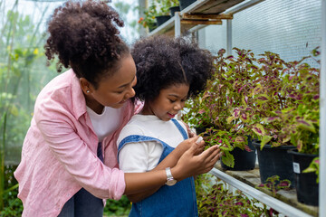 African mother and daughter is choosing ornamental plant from the local garden center nursery with shopping cart full of summer plant for weekend gardening and outdoor