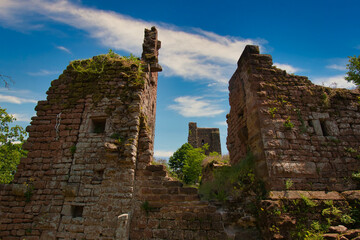 Burgruine Hoch Geroldseck nahe Saverne im Elsass