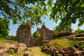 Burgruine Hoch Geroldseck nahe Saverne im Elsass
