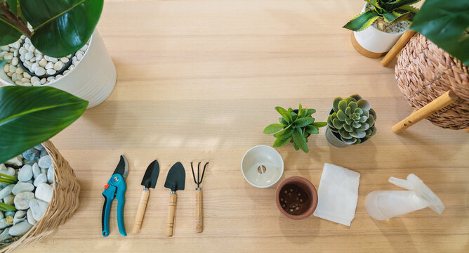 Gardening tools on wooden table background. Spring garden works concept. World environment day, arbor day, International mother day. Top view. Copy space.gardening tools hero header