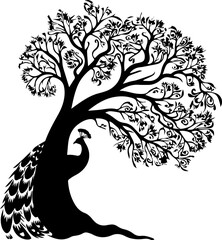 Obraz premium Peacock bird animal images