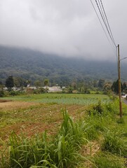 Bali Island, 22 May 2023 : Farm at the foot of the hill in cloudy weather with green hills as the...