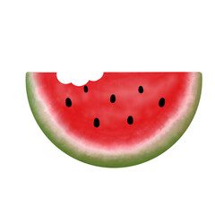 Cute of watermelon watercolor element illustrations