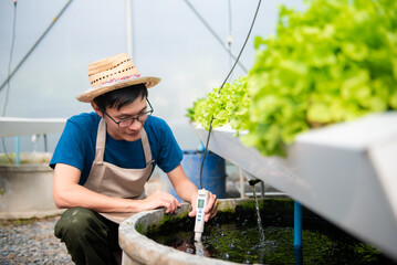 Researcher in uniform are checking with ph strips in hydroponic farm and pH level scale graphic,...