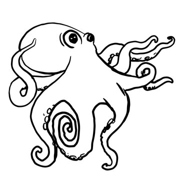  black and white line art cartoon picture octopus-01.png